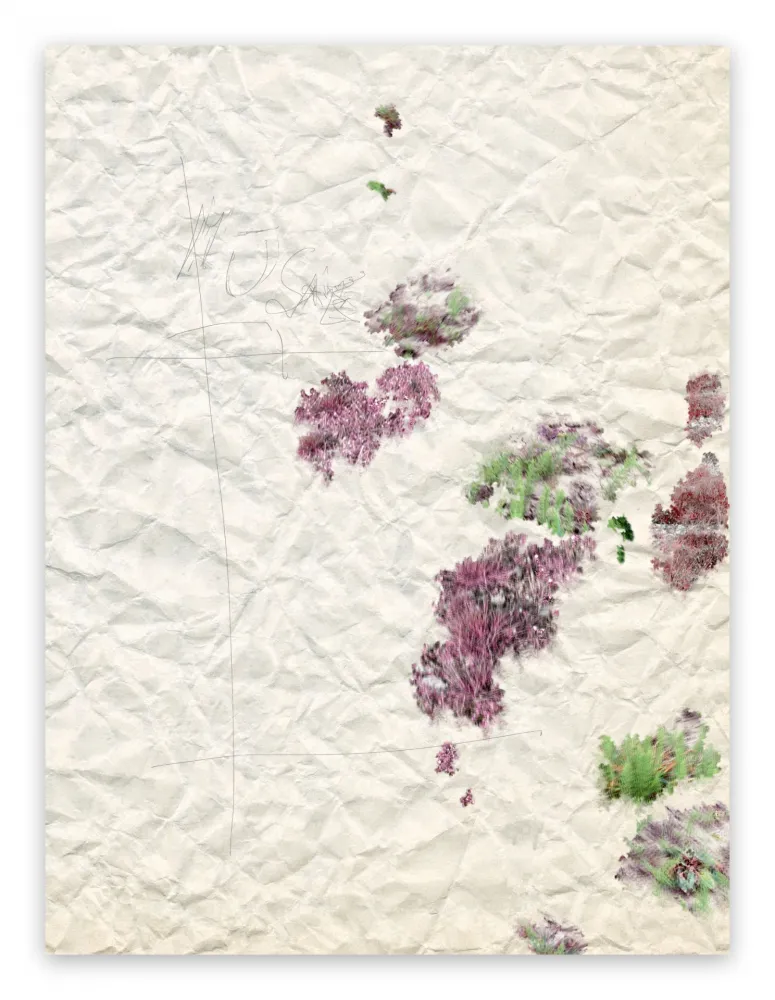 Fotografie Pezzot - II. Marvellous Unconsciousness