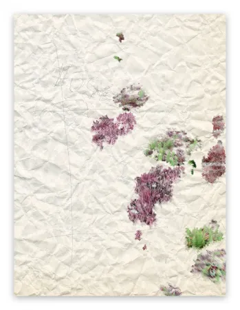 Fotografie Pezzot - II. Marvellous Unconsciousness