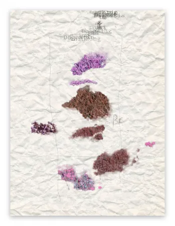 Fotografie Pezzot - V. Dogmatic Thinking