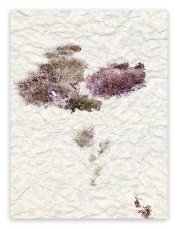 Fotografie Pezzot - VIII: The Unselfconsciousness Of Eros