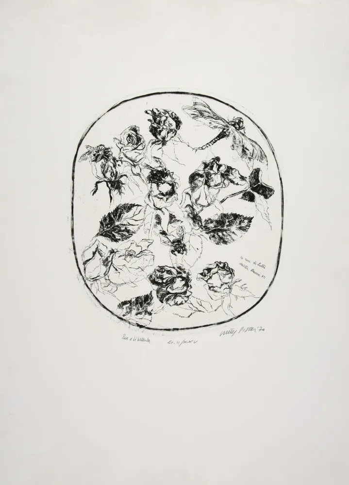 Radierung Piacesi - Rose e libellula