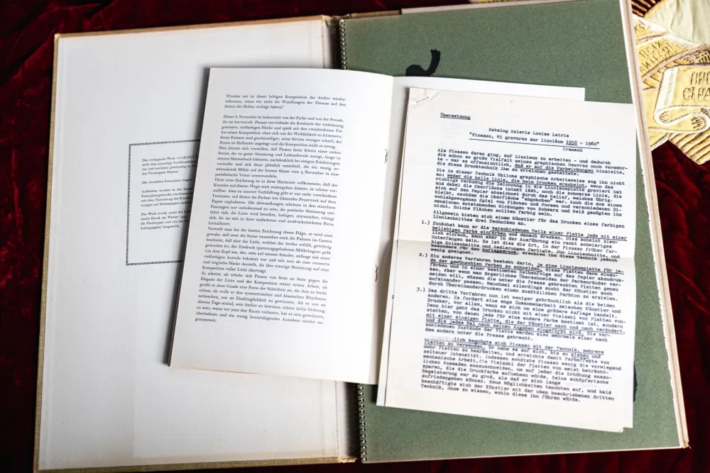 Illustriertes Buch Picasso - Carnet de la Californie 246/500 