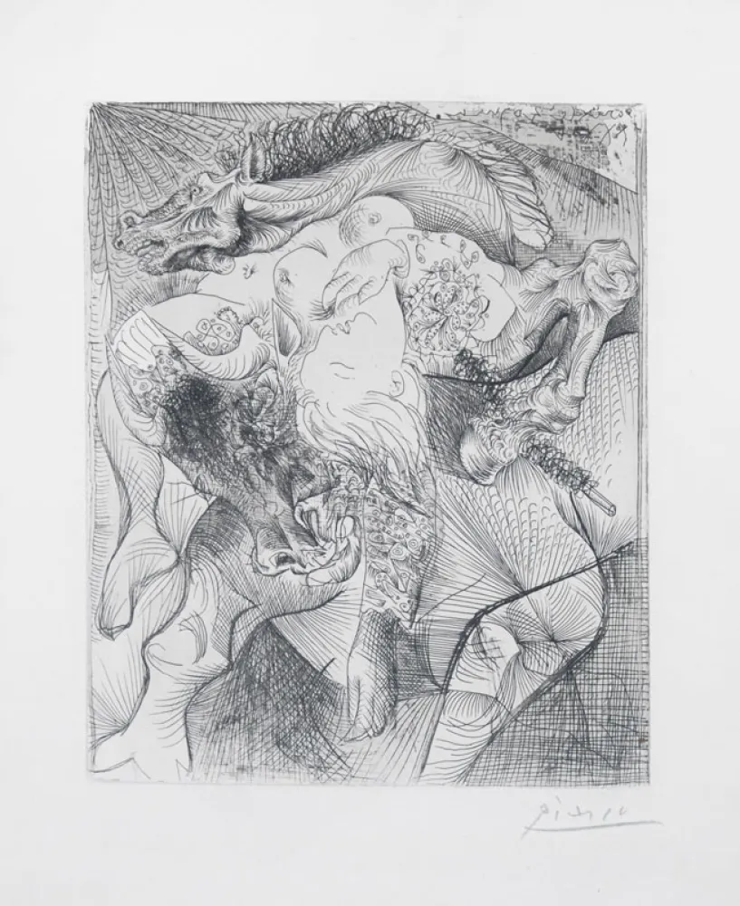 Stich Picasso - Femme torero II