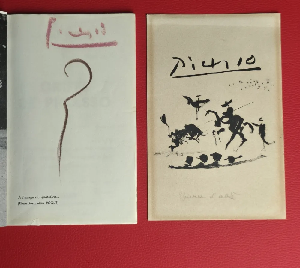 Illustriertes Buch Picasso - Griffes de Picasso 