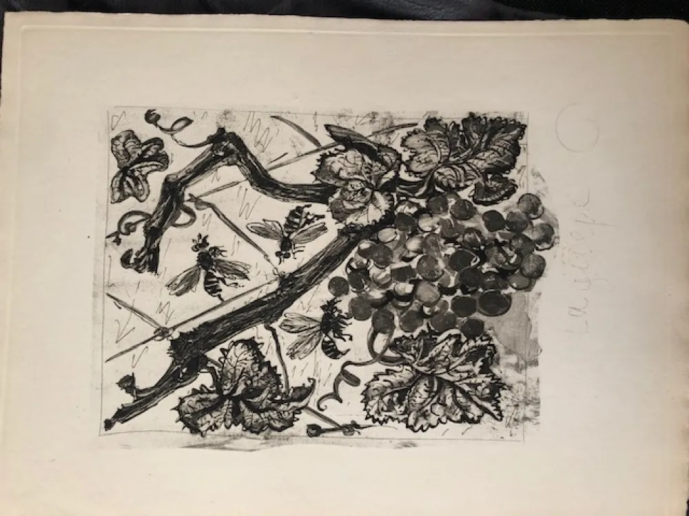 Aquatinta Picasso - La guêpe