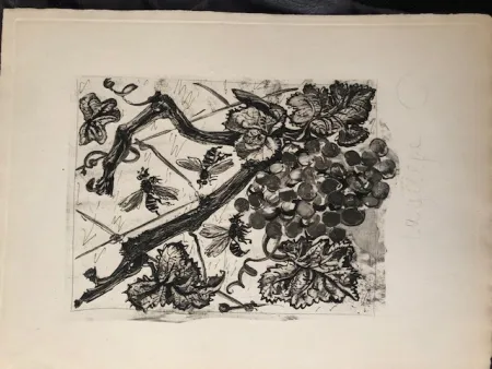Aquatinta Picasso - La guêpe