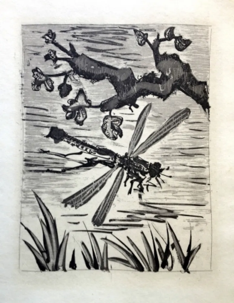 Radierung Und Aquatinta Picasso - LA LIBELLULE