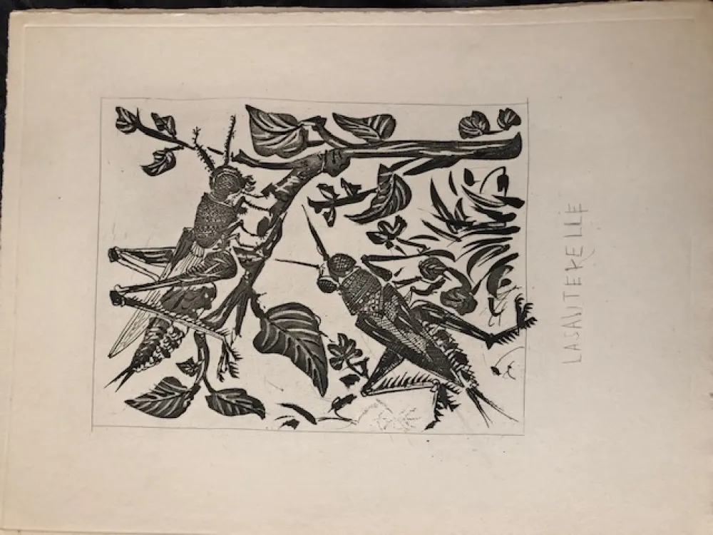 Aquatinta Picasso - La sauterelle