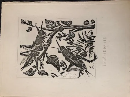 Aquatinta Picasso - La sauterelle