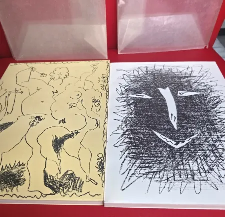 Illustriertes Buch Picasso - Mourlot Litographe III & IV Mint