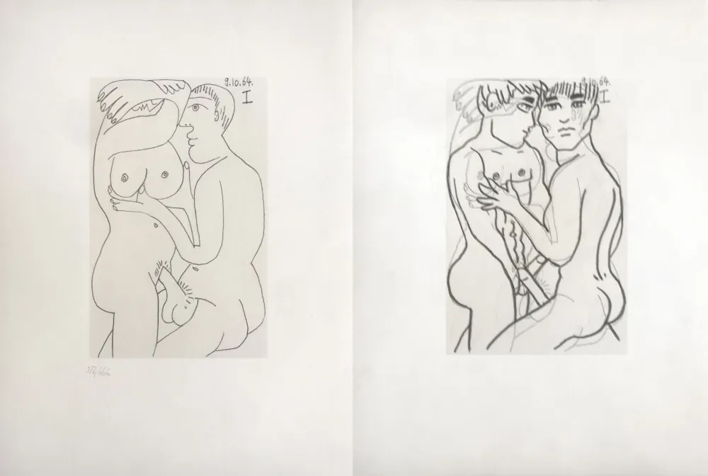 Keine Technische Picasso - Picasso and Me 