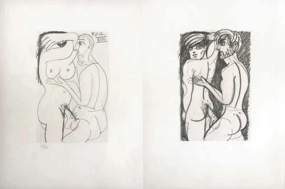 Keine Technische Picasso - Picasso and Me 