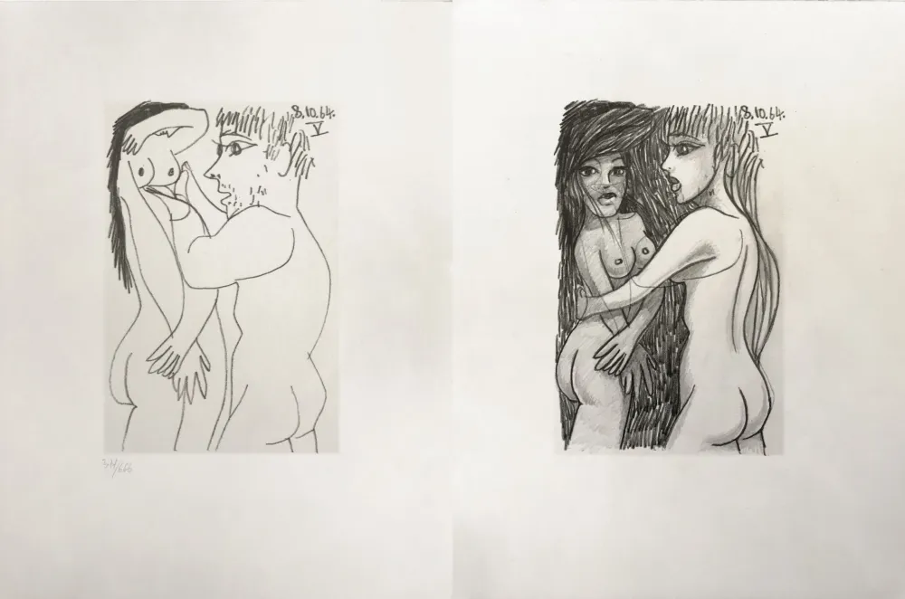 Keine Technische Picasso - Picasso and Me 