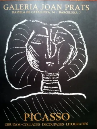 Plakat Picasso - S/T