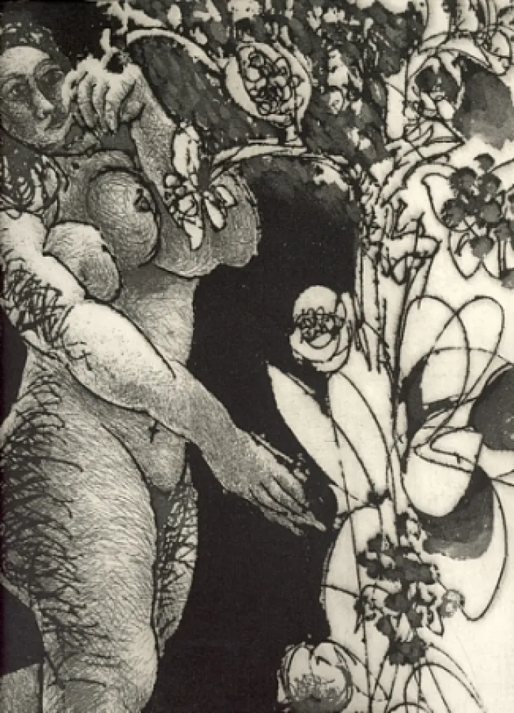 Illustriertes Buch Pignateli - Controra