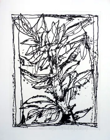 Aquatinta Pincemin - Sans titre