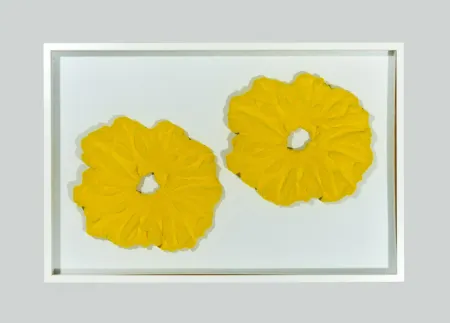 Keine Technische Pinelli - Pittura G.