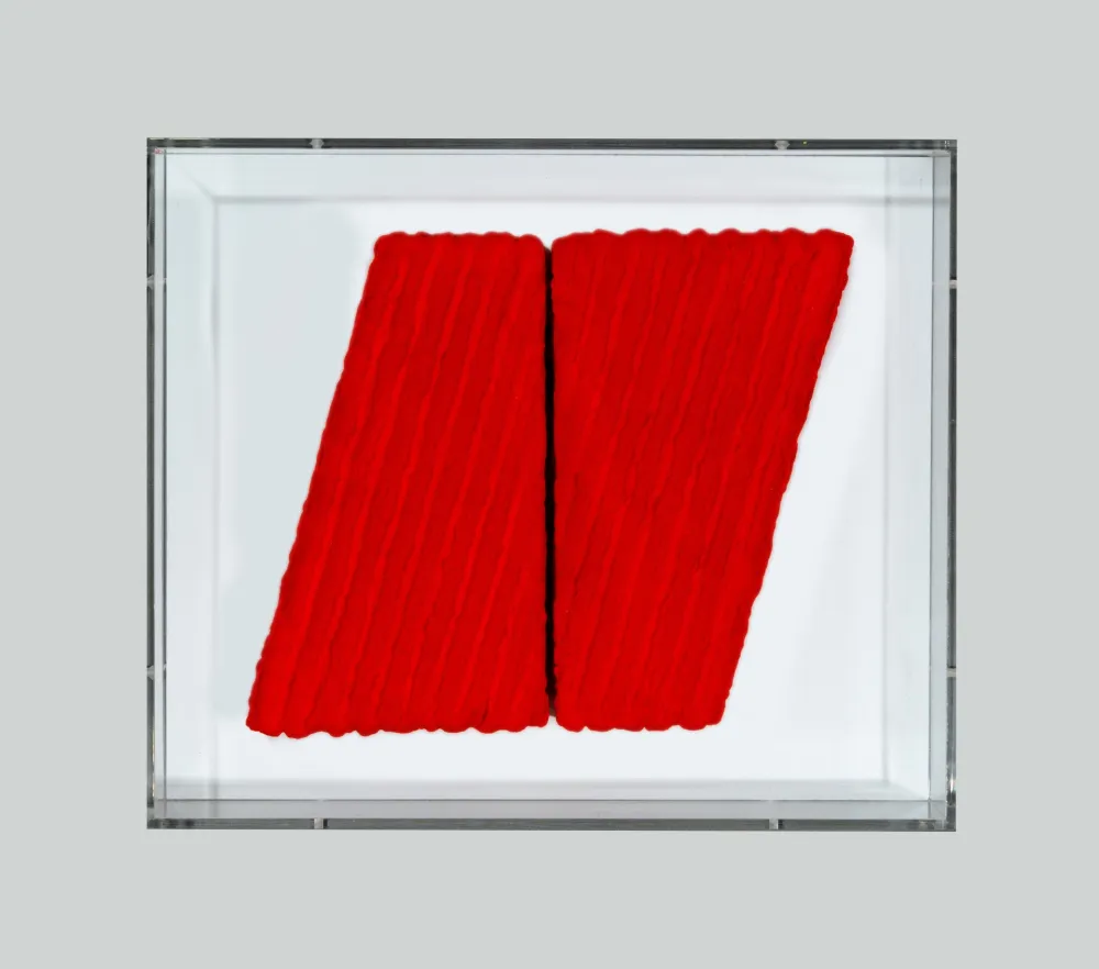 Keine Technische Pinelli - Pittura R.