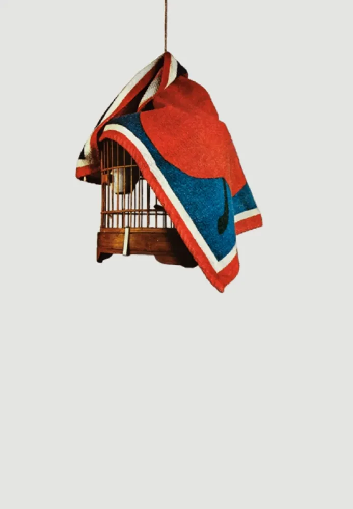 Siebdruck Pistoletto - La gabbietta