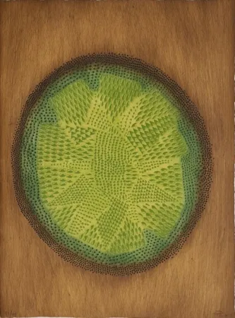 Stich Piza - Sans titre