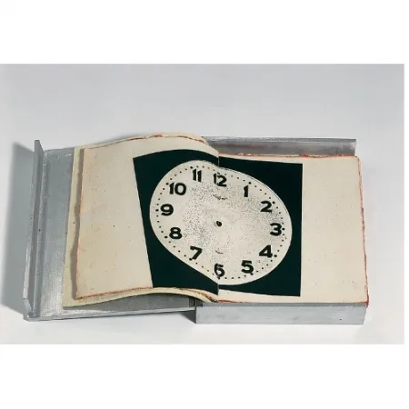 Illustriertes Buch Plensa - La Neige Rouge - Jaume Plensa