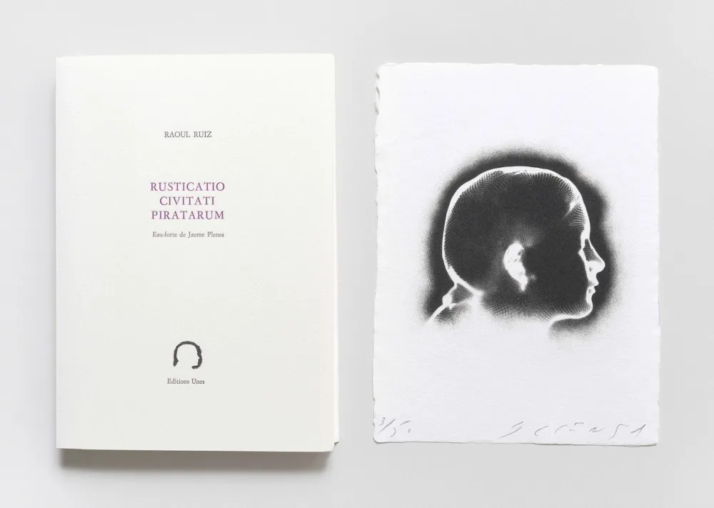 Stich Plensa - Rusticatio Civitati Piratarum