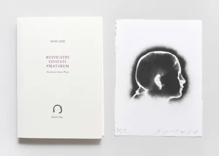 Stich Plensa - Rusticatio Civitati Piratarum