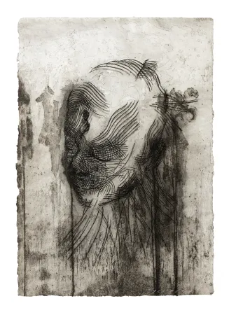 Stich Plensa - Twins 2