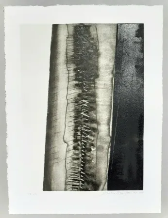 Aquatinta Pomodoro - Composizione