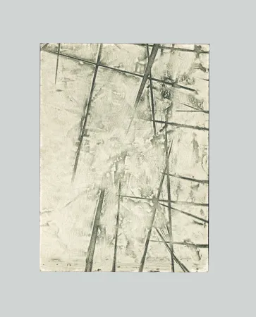 Intaglio Pomodoro - Lungo la traccia