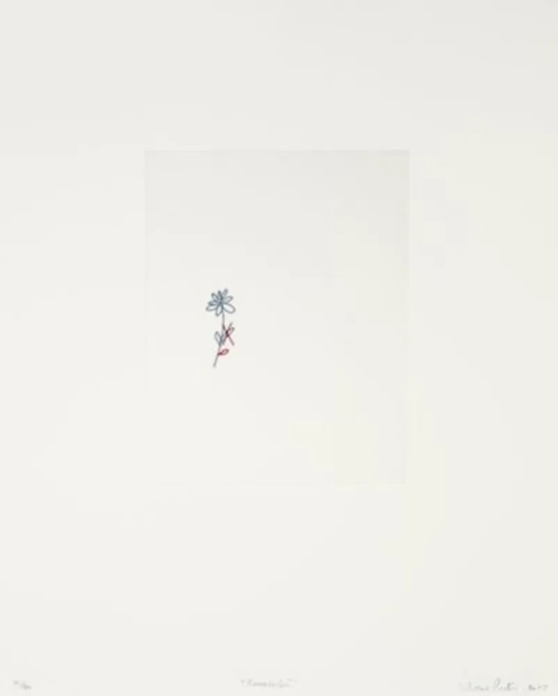 Stich Porter - Corrección