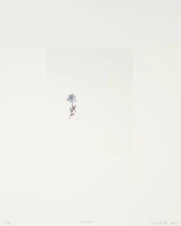 Stich Porter - Corrección