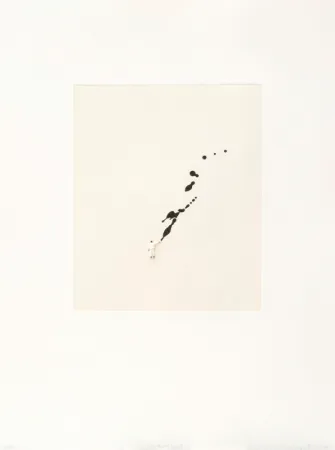 Stich Porter - Mod. 2