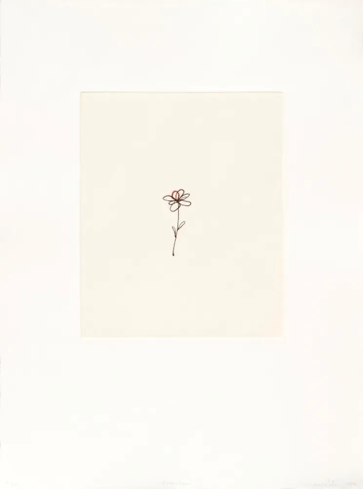 Stich Porter - Mod. 5