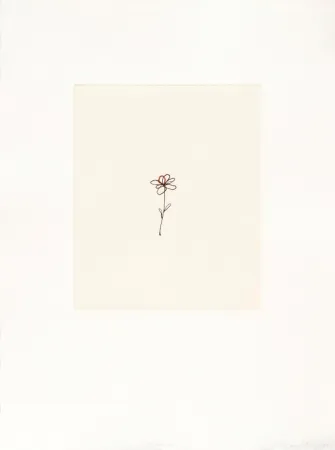 Stich Porter - Mod. 5