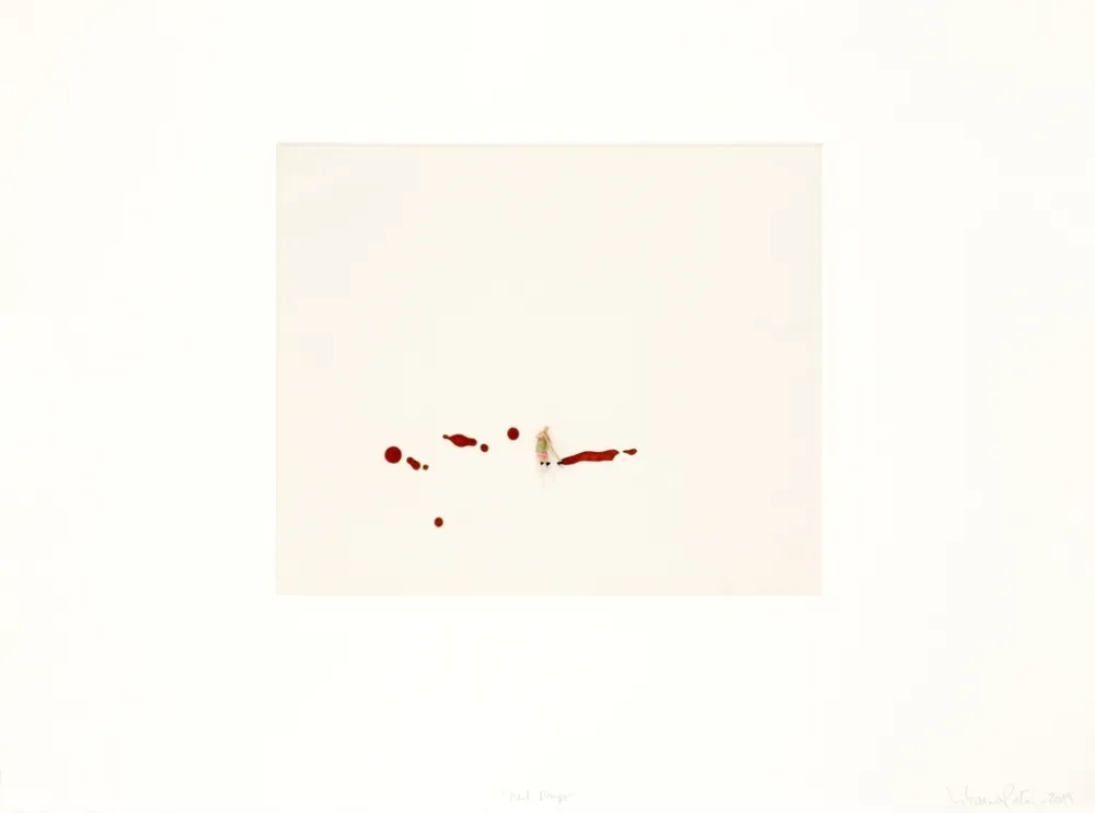 Stich Porter - Red drips