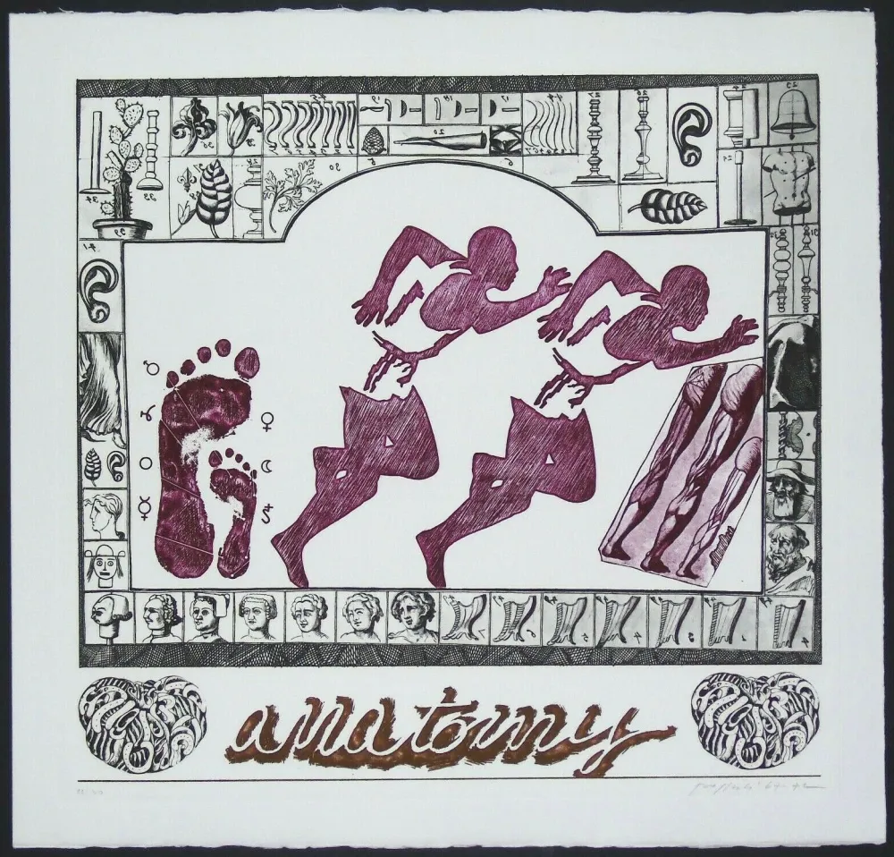 Stich Pozzati - Anatomy