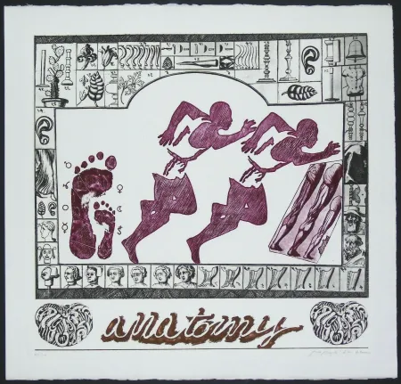 Stich Pozzati - Anatomy