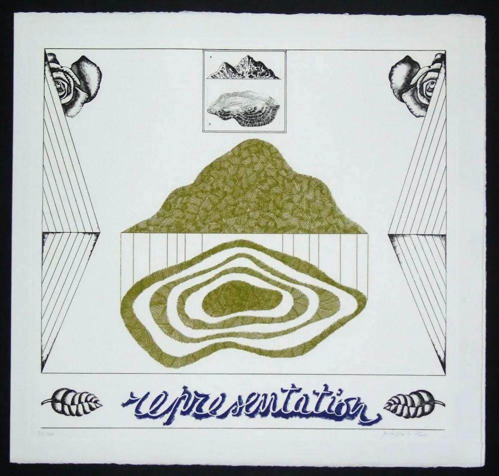 Stich Pozzati - Representation