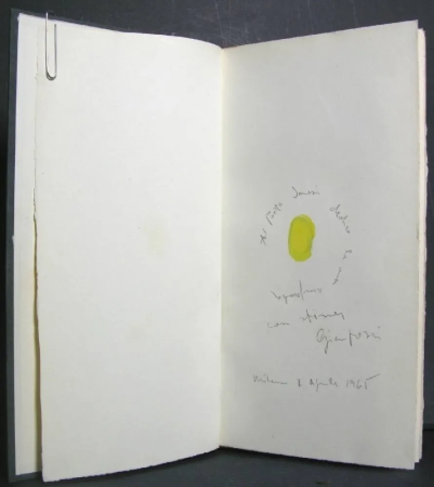 Illustriertes Buch Pozzi - La dignità delle pietre