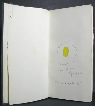 Illustriertes Buch Pozzi - La dignità delle pietre