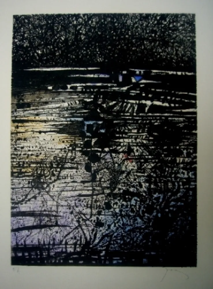 Radierung Und Aquatinta Prassinos - L'étang