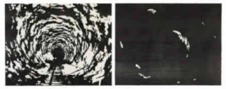 Holzschnitt Putrih - Reprojection II  (IIa et IIb)