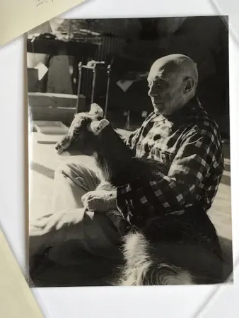 Fotografie Quinn - Picasso sa chèvre dans les bras à la Californie