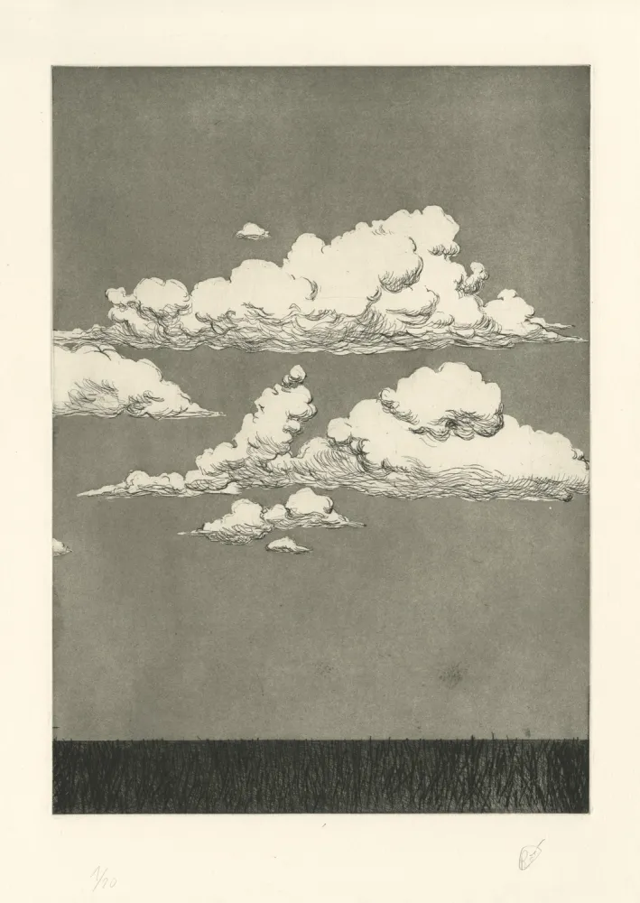 Stich Rabaté - Paysage dans le Désordre