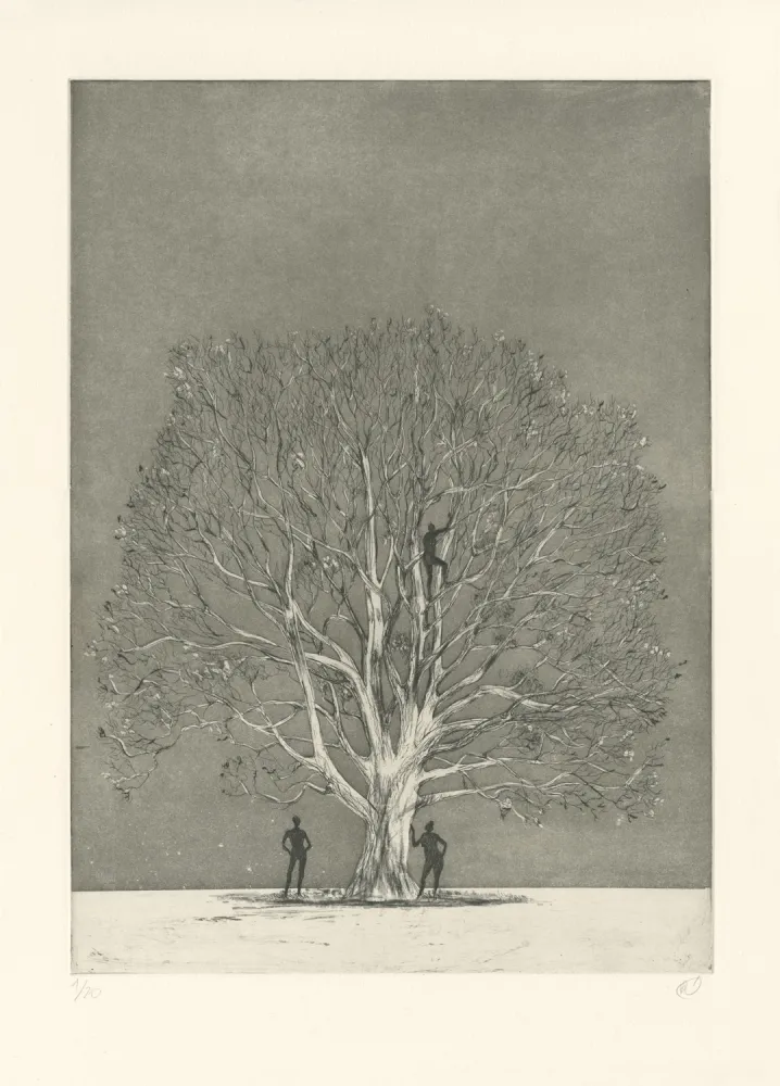 Stich Rabaté - Paysage dans le Désordre