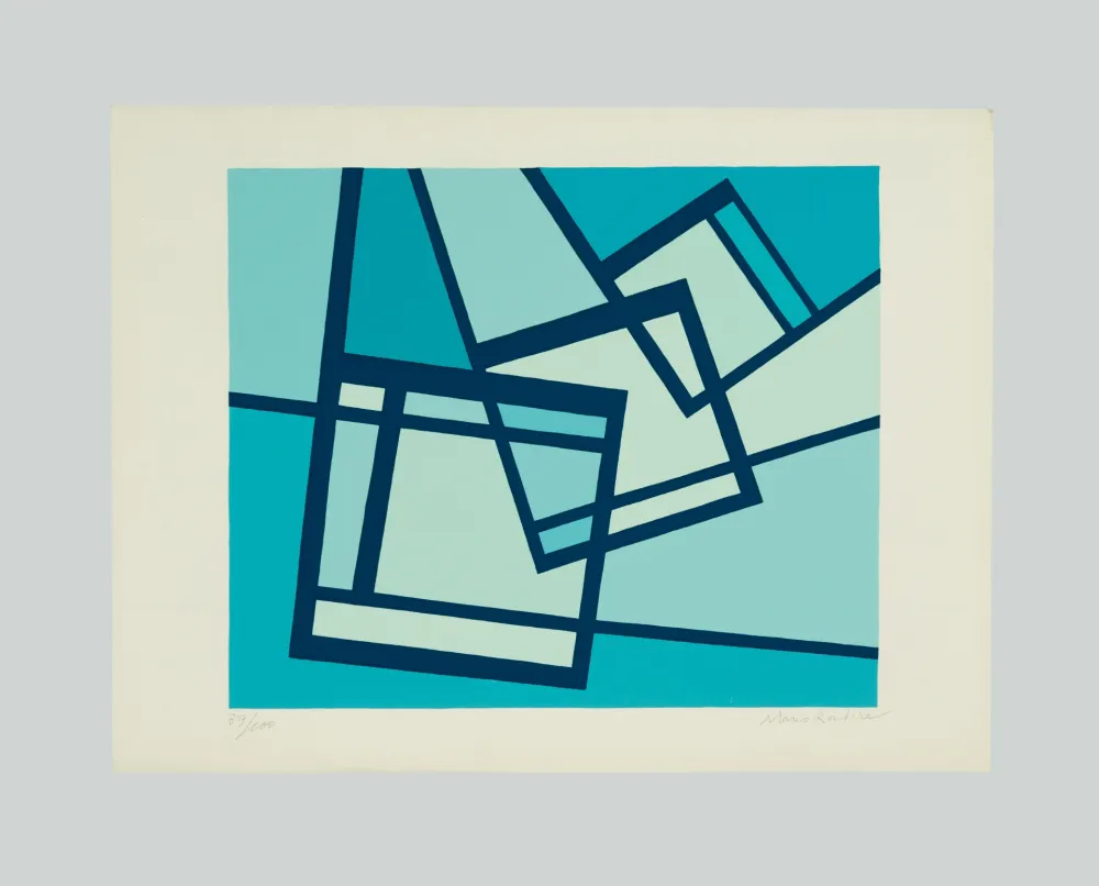 Siebdruck Radice - La distruzione