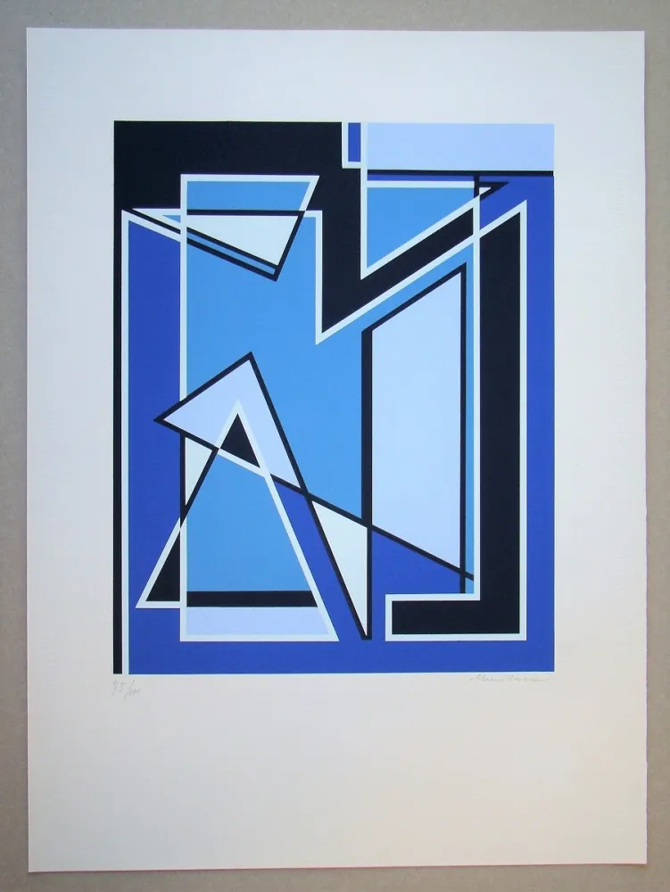 Siebdruck Radice - Senza Titolo