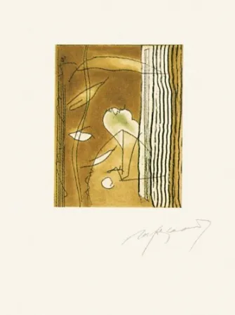 Stich Ràfols Casamada - Finestres-2	 