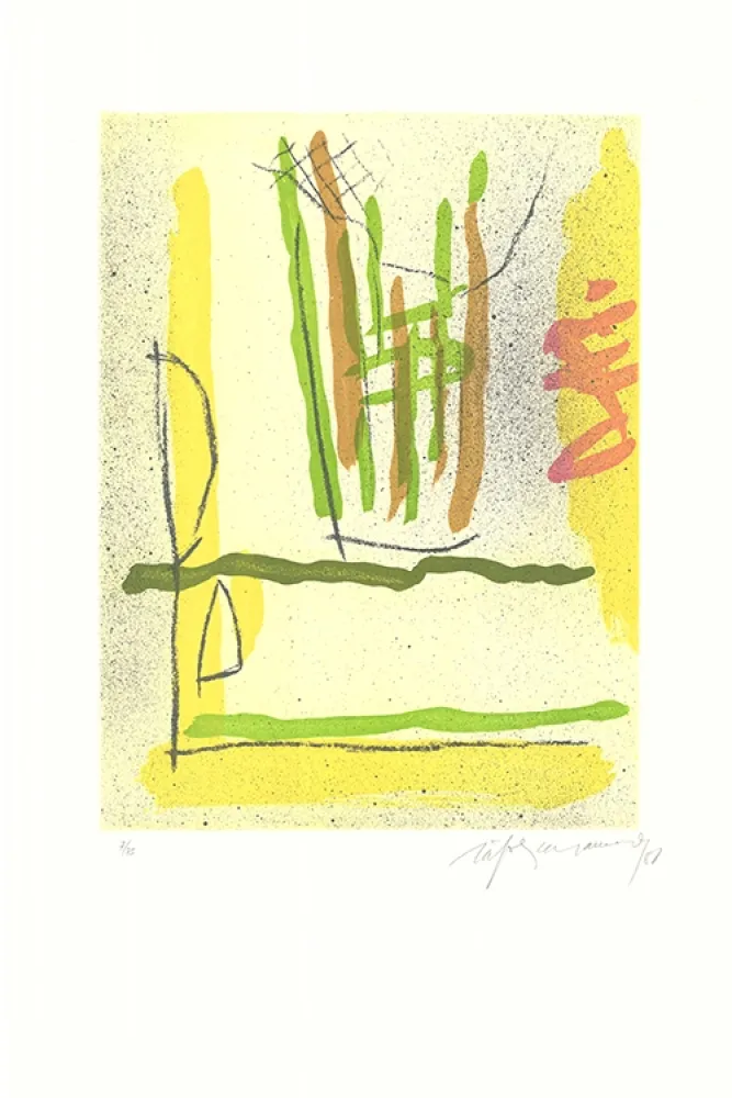 Radierung Und Aquatinta Ràfols Casamada - Floral-1